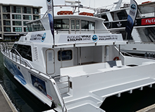 ビーチへ続く道